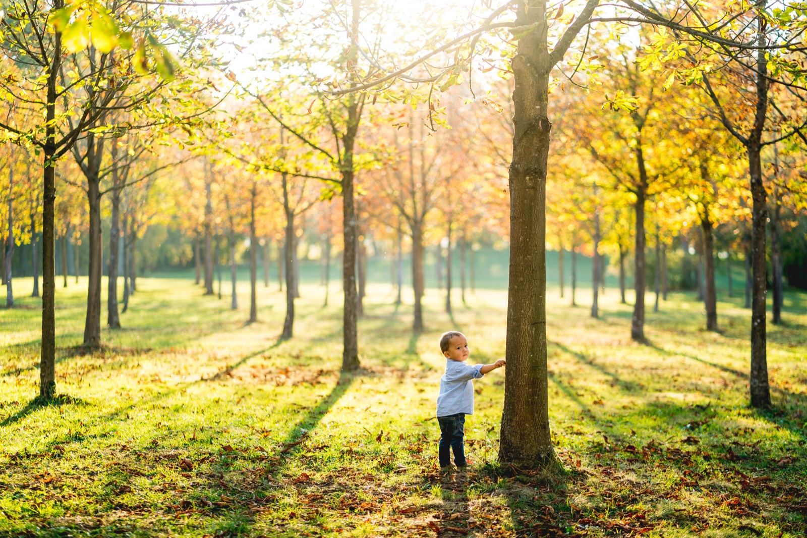 Familie im Naturlicht bei Sand&Kasten — dokumentarischer Stil