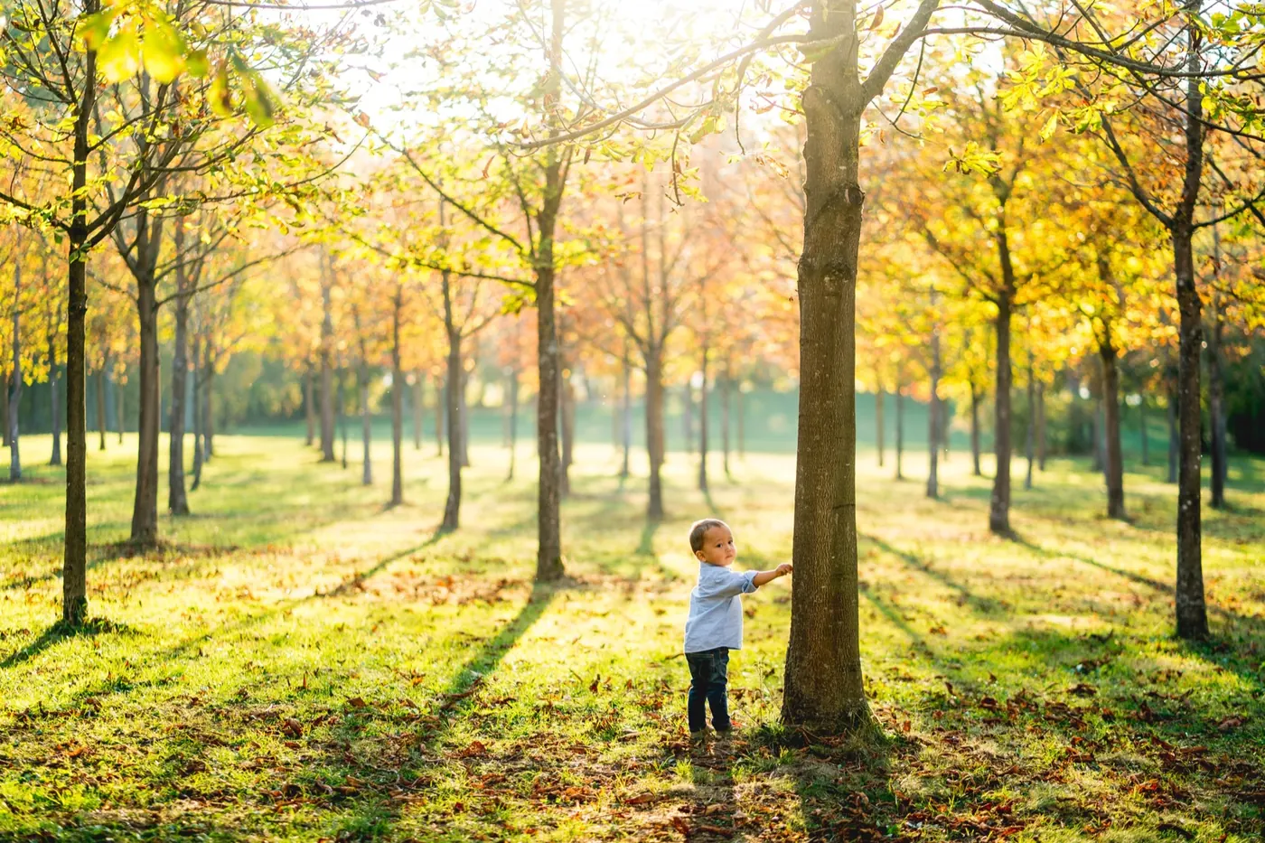 Kind im herbstlichen Park im Gegenlicht