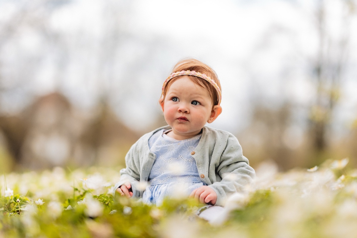 Baby-Portrait im Frühling – Kleinkind mit roten Haaren sitzt neugierig zwischen weißen Wiesenblüten
