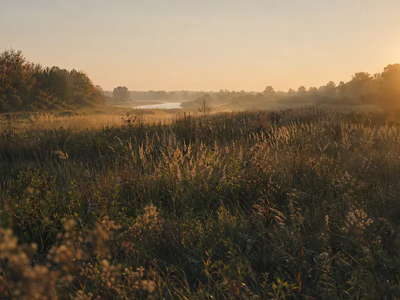 Fuldaaue im goldenen Abendlicht